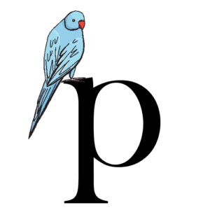 Green Cheek Conure Lifespan | How Long Do Green Cheek Conures Live