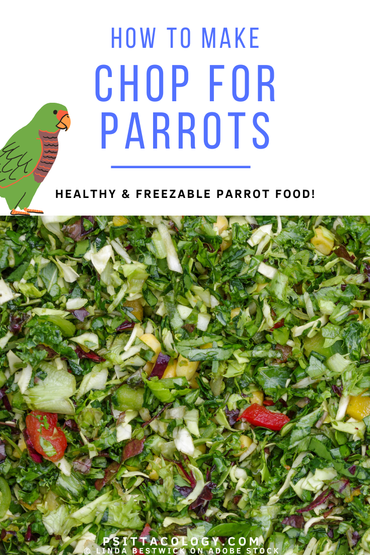 Photo of chop (a mix of vegetables and other foods) for parrots with text above saying: "Chop for parrots | Healthy and freezeable parrot food!"