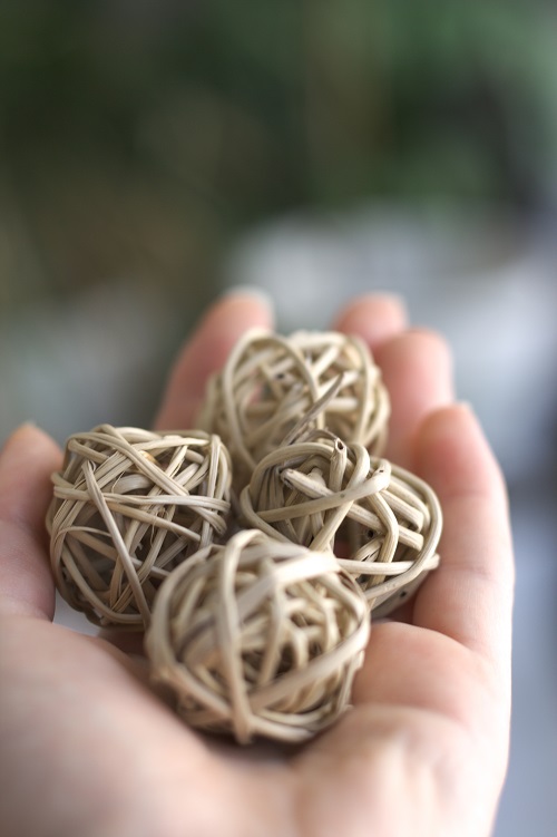 Bolas de vid natural, un juguete popular para loros. 