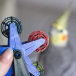 Ferris wheel parrot toy with cockatiel (Nymphicus hollandicus) in the background, shallow focus.