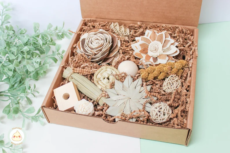 Parrot foraging box gift for parrot owners