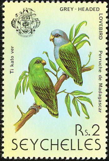 Grey-headed lovebird stamp from the Seychelles