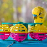 Yellow and green male budgie with colorful ferris wheel toy.