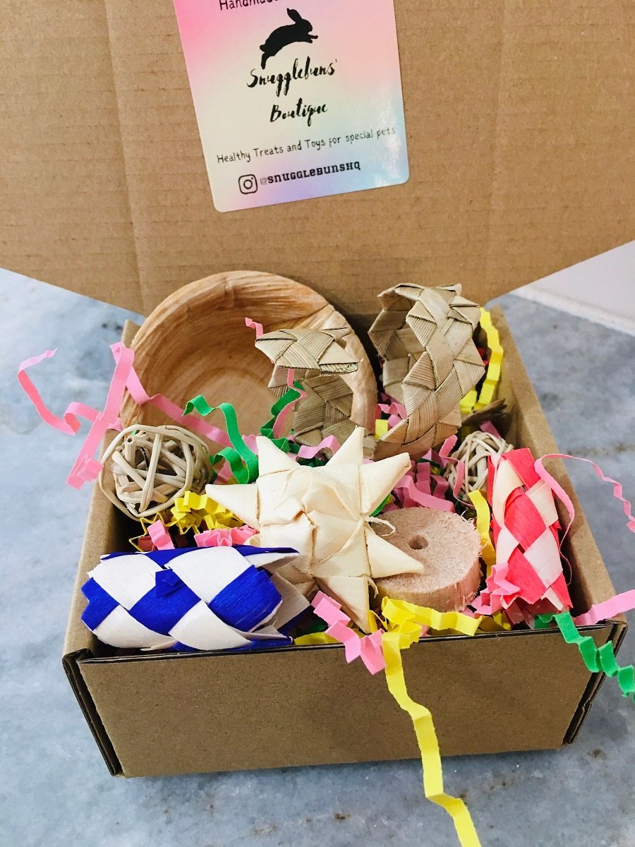 Parrot foraging box filled with small colorful items.