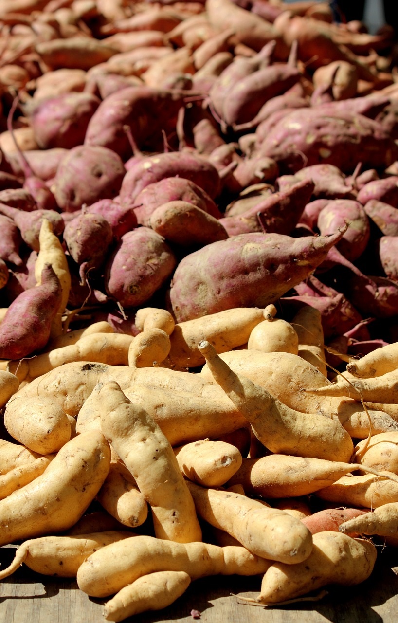 Sweet potatoes for sweet potato balls recipe for parrots