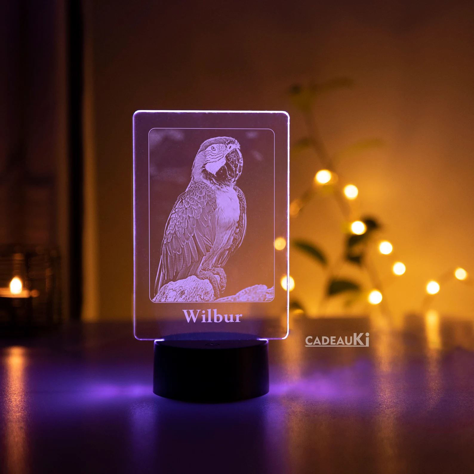 Custom parrot light
